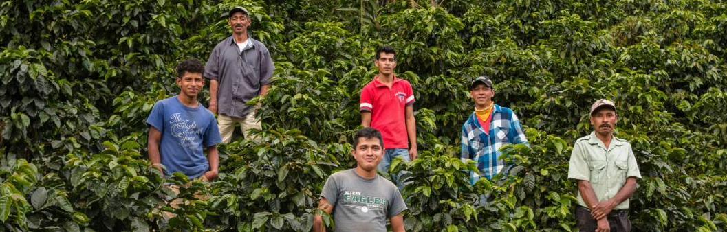 Farmerne bag NORs kaffe i Nicaragua